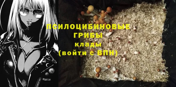 эйфоретик Заводоуковск