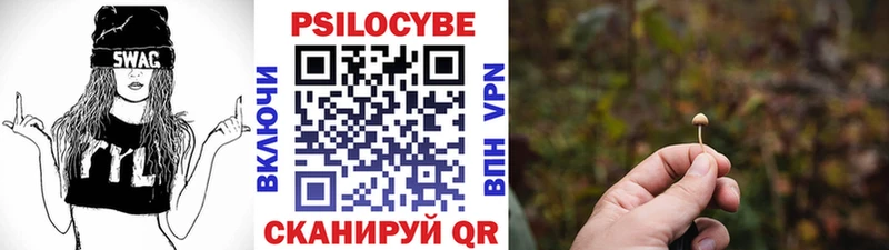 Купить закладки  Нерюнгри  Псилоцибиновые грибы Psilocybine cubensis 
